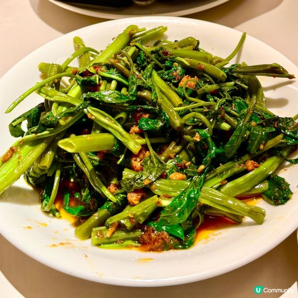 ❤️‍🔥甫田大癲❤️‍🔥