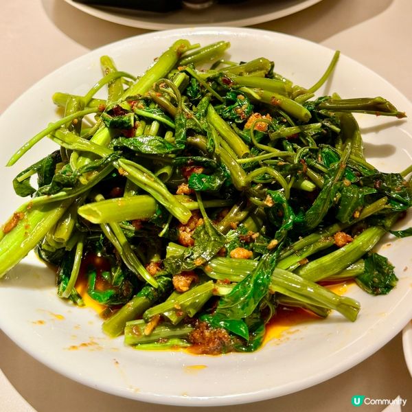 ❤️‍🔥甫田大癲❤️‍🔥