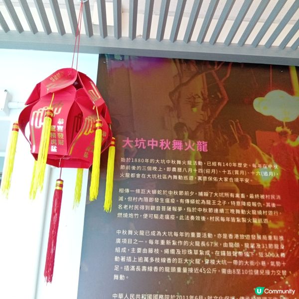 必去大坑舞火龍文化館🤩 睇火龍學歷史！🐉