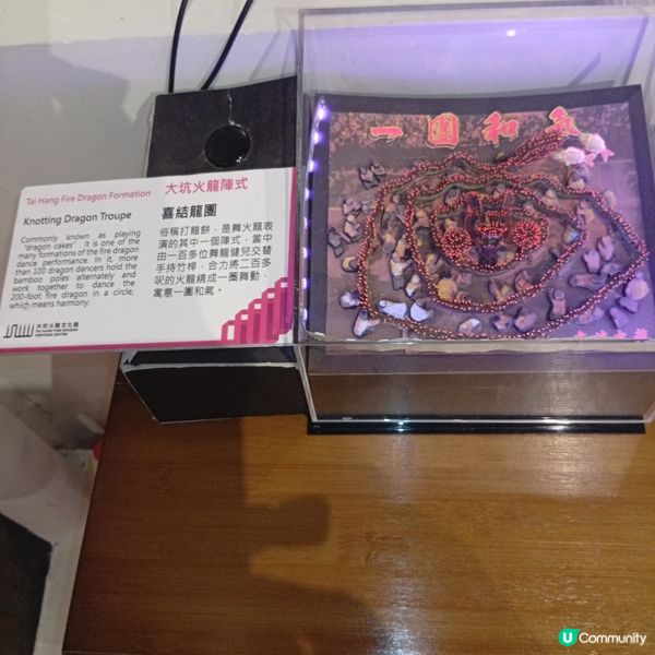 必去大坑舞火龍文化館🤩 睇火龍學歷史！🐉