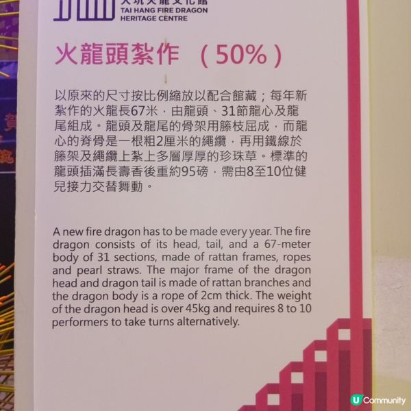 必去大坑舞火龍文化館🤩 睇火龍學歷史！🐉