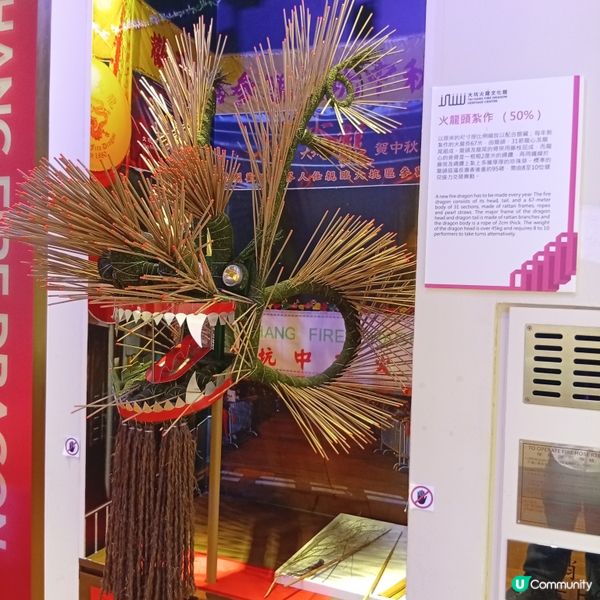 必去大坑舞火龍文化館🤩 睇火龍學歷史！🐉