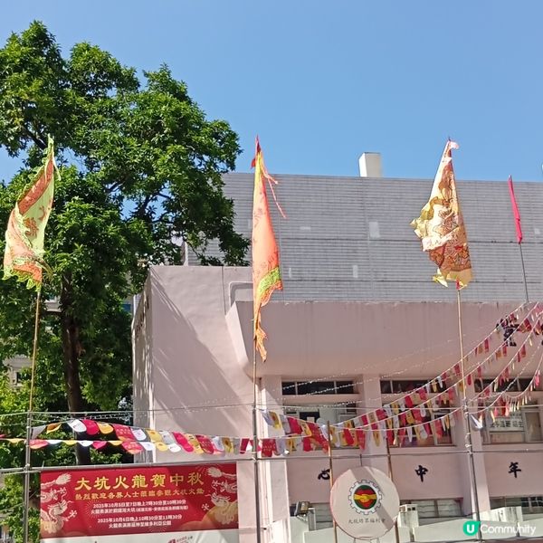 必去大坑舞火龍文化館🤩 睇火龍學歷史！🐉