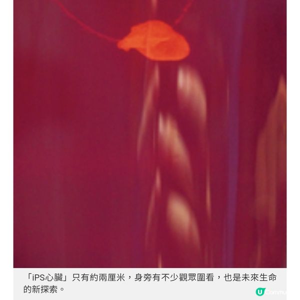 大阪世博本周閉幕 阿童木動畫導航 周邊美食推介