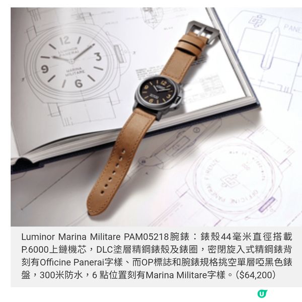 上天下海的PANERAI