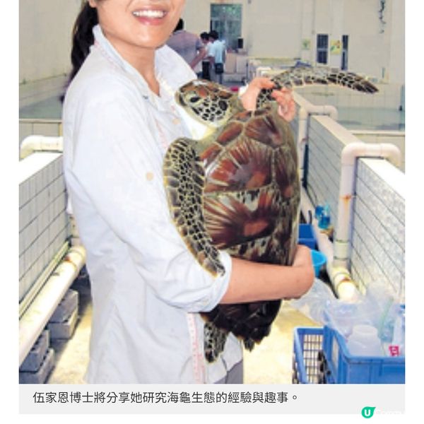 繪本細說本土海洋故事 綠海龜的海洋保育之旅