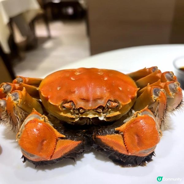 尖沙咀老字號上海菜館