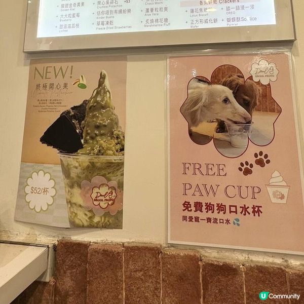 🩷高質健康乳酪雪糕🍦必推新品🙌🏻終極開心果雪糕😍👍🏻