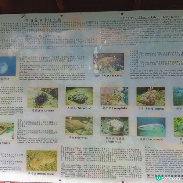 石屎森林Out! 貝澳露營Chill🥳 享受大自然