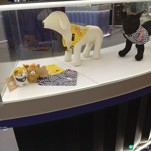 東薈城5周年🎉！「飾」玩研究所等你嚟玩！🧵🧷