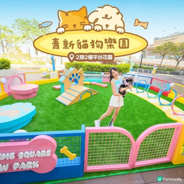 青衣城戶外「青新貓狗樂園」升級設施推貓狗友善環境