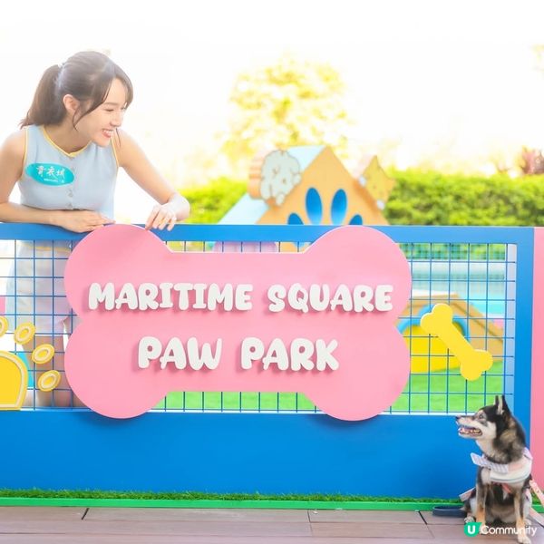 青衣城戶外「青新貓狗樂園」升級設施推貓狗友善環境
