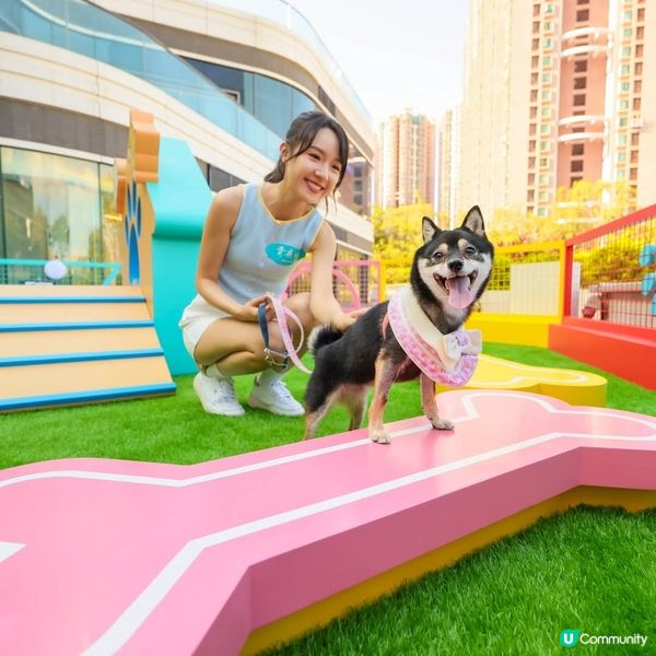 青衣城戶外「青新貓狗樂園」升級設施推貓狗友善環境