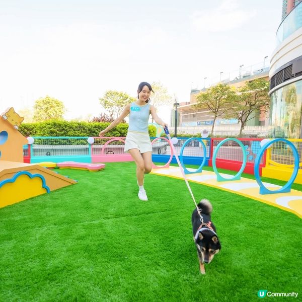青衣城戶外「青新貓狗樂園」升級設施推貓狗友善環境