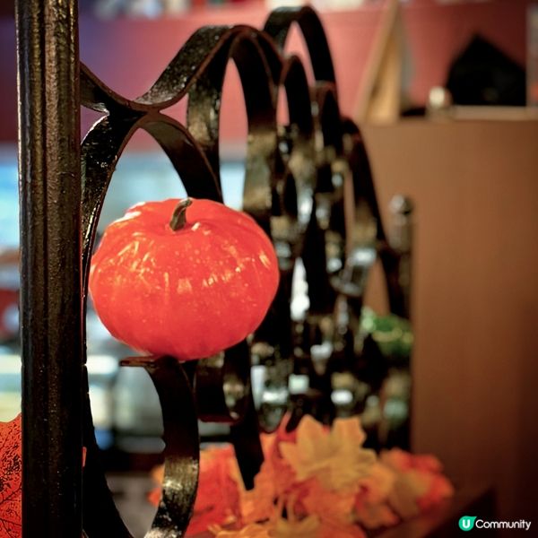 Camino de Santiago@Rustico