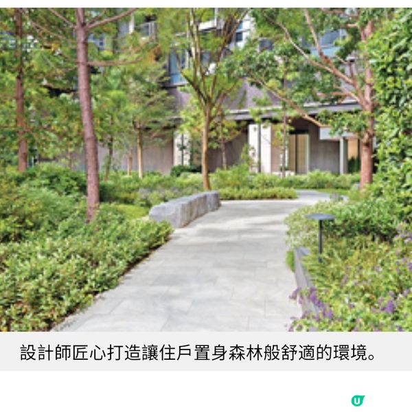兩大名師打造全港首個森林浴主題住客會所