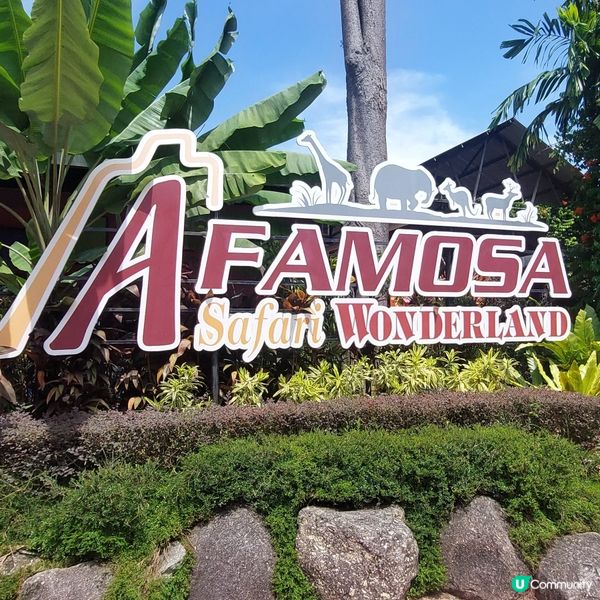 馬來西亞馬六甲度假之選～ 🏊‍♂️🛏🧳 🚘🏨🥘