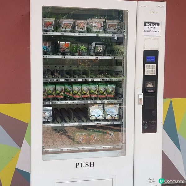 馬來西亞馬六甲度假之選～ 🏊‍♂️🛏🧳 🚘🏨🥘