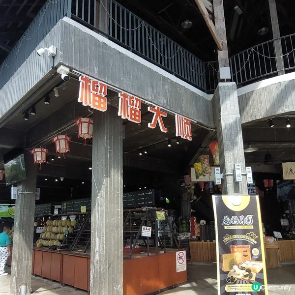 馬來西亞貓山王榴槤