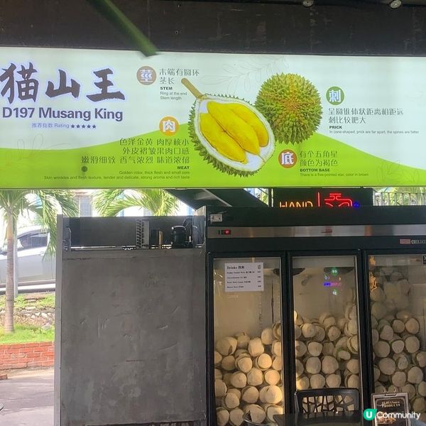 馬來西亞貓山王榴槤