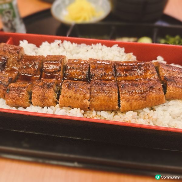 日本鰻魚飯癮發作🤤！即刻衝！