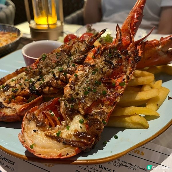西營盤西式餐廳出名吃烤龍蝦🦞正呀喂😋焗龍蝦通粉超拉絲超濃