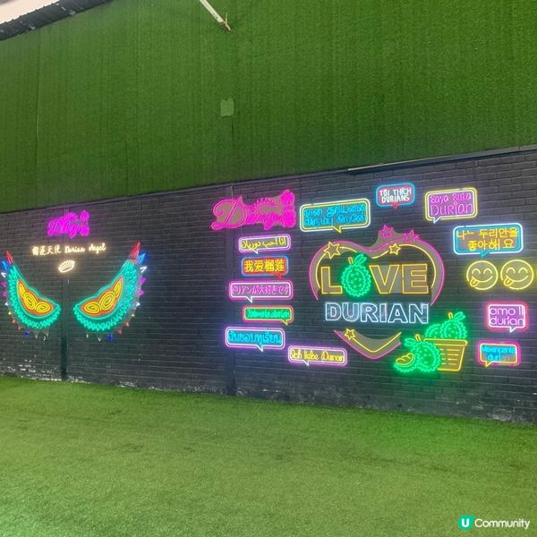 榴槤開心坊 Wonderland SS2 Durian