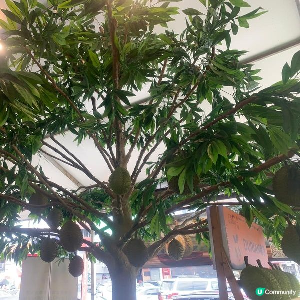 榴槤開心坊 Wonderland SS2 Durian