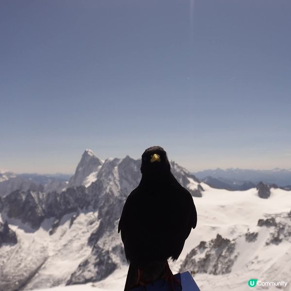 南針峰🪡🏔近觀歐洲之顛"白朗峰🏔