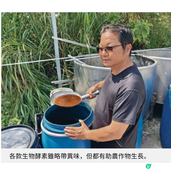 本地農莊善用廚餘轉廢為材零農藥蔬菜升級健康美食