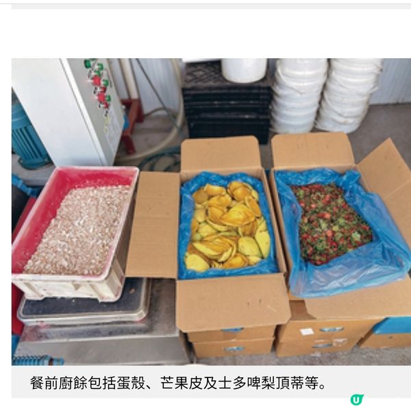 本地農莊善用廚餘轉廢為材零農藥蔬菜升級健康美食