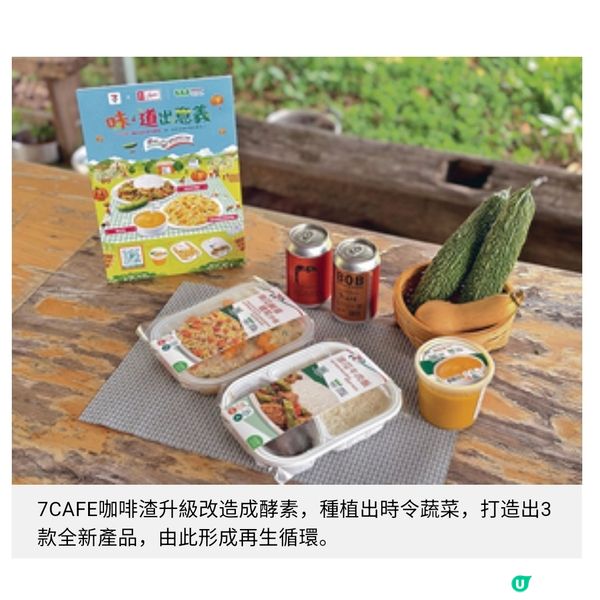 本地農莊善用廚餘轉廢為材零農藥蔬菜升級健康美食