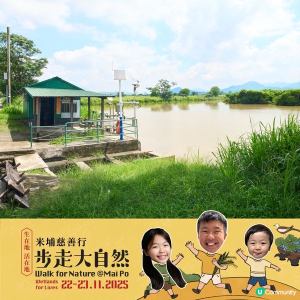 步走大自然2025！親子探索米埔濕地 🌳🥾