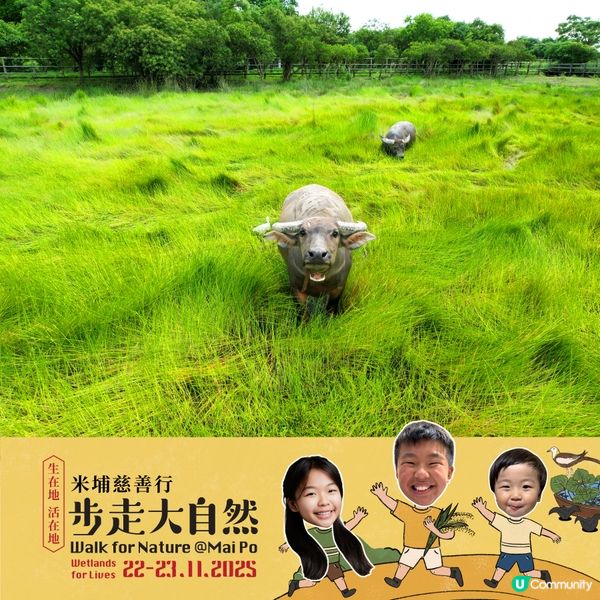 步走大自然2025！親子探索米埔濕地 🌳🥾