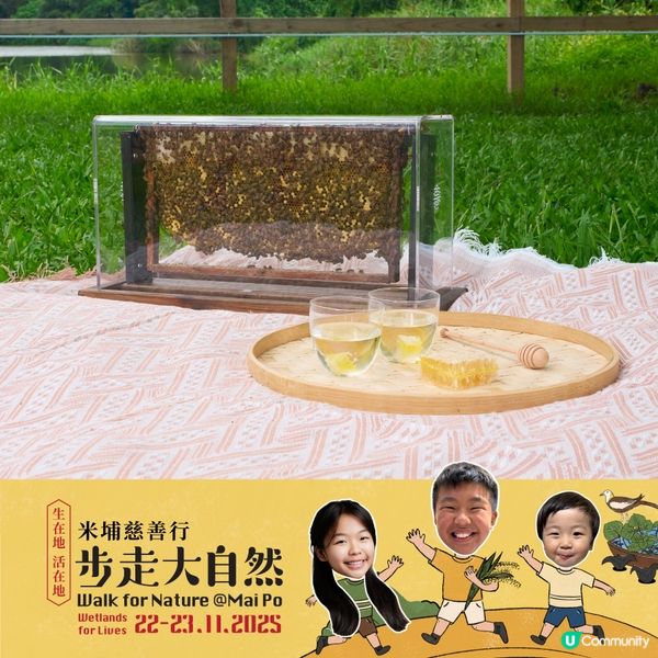 步走大自然2025！親子探索米埔濕地 🌳🥾