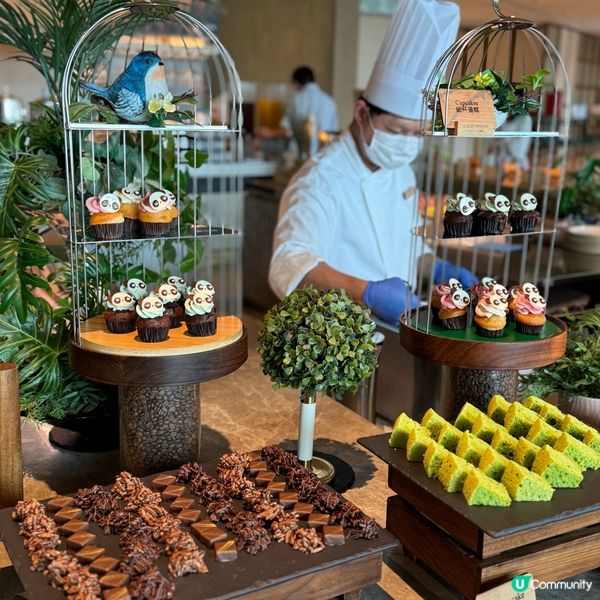 熊貓主題自助餐🐼！親子必去！😋