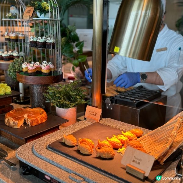 熊貓主題自助餐🐼！親子必去！😋