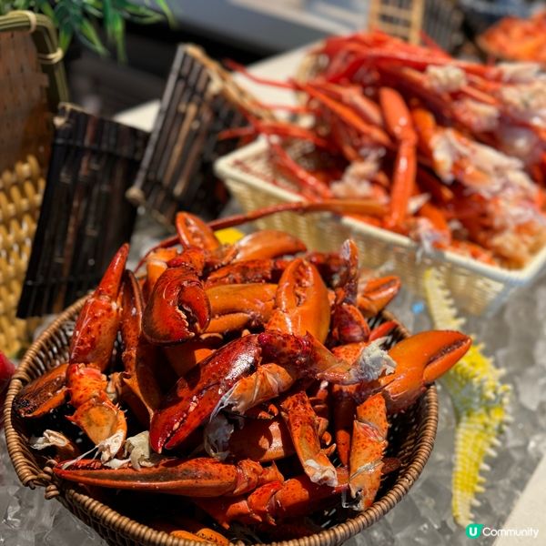 熊貓主題自助餐🐼！親子必去！😋