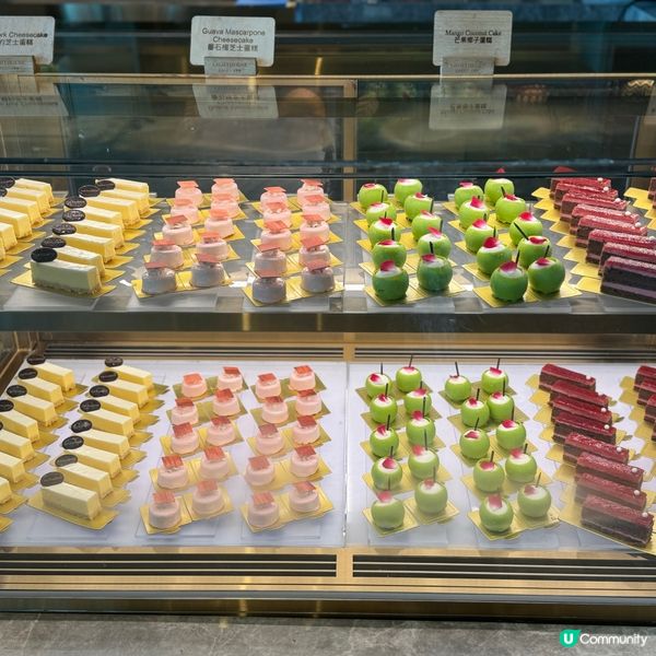 熊貓主題自助餐🐼！親子必去！😋