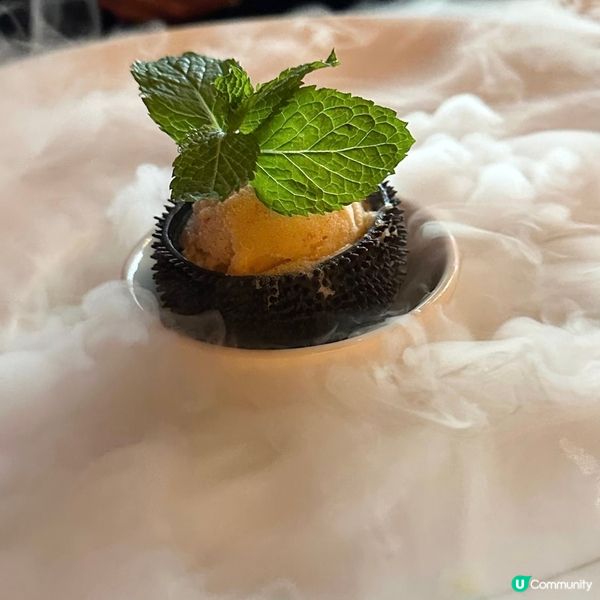 擺盤好有心思而又好味嘅法國菜🇫🇷 原隻海膽雪糕超有驚喜