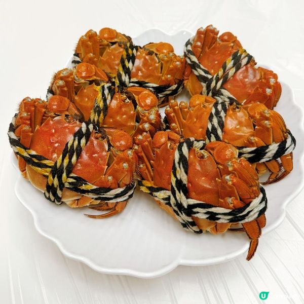 🦀初秋第一波大閘蟹開動！🎉