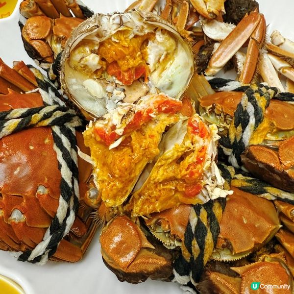 🦀初秋第一波大閘蟹開動！🎉