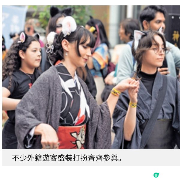 直擊東京神樂坂貓祭 群貓亂舞連結下町風情

結下町風情