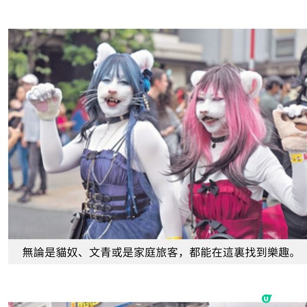 直擊東京神樂坂貓祭 群貓亂舞連結下町風情

結下町風情
