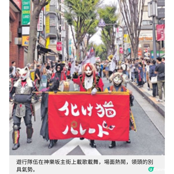 直擊東京神樂坂貓祭 群貓亂舞連結下町風情

結下町風情