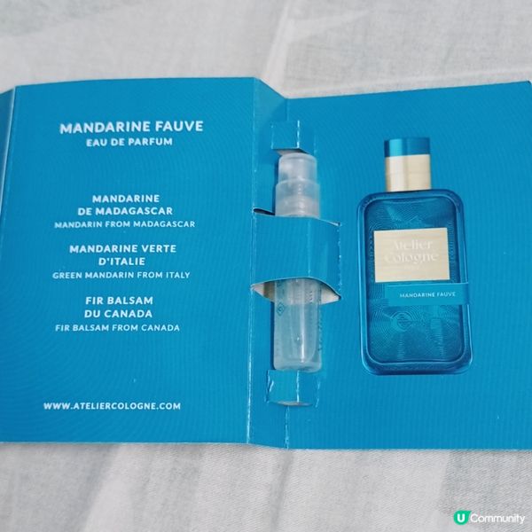 琺瑯橘木香水分享！🍊適合木調控用家！✨