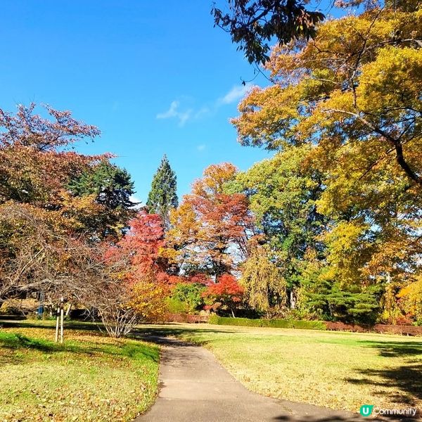 日本紅葉🍁弘前城！江戶時代🏯遺址！ 
