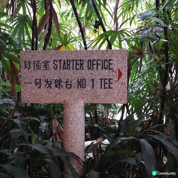 中山高爾夫球場介紹！⛳️🏌‍♀️🏌‍♂️