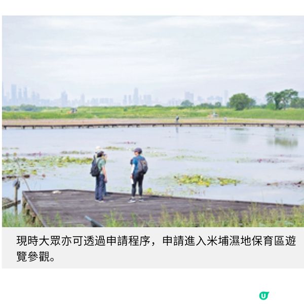 賽馬會近8千萬啟動「智慧濕地管理計劃」 米埔保育員善用科技應