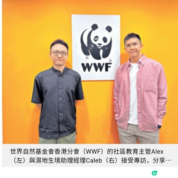 賽馬會近8千萬啟動「智慧濕地管理計劃」 米埔保育員善用科技應